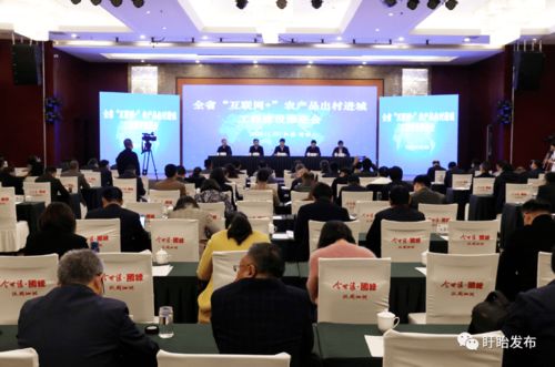 全省互聯網農產品出村進城工程建設推進會在盱眙召開，共筑農產品電商發展新藍圖